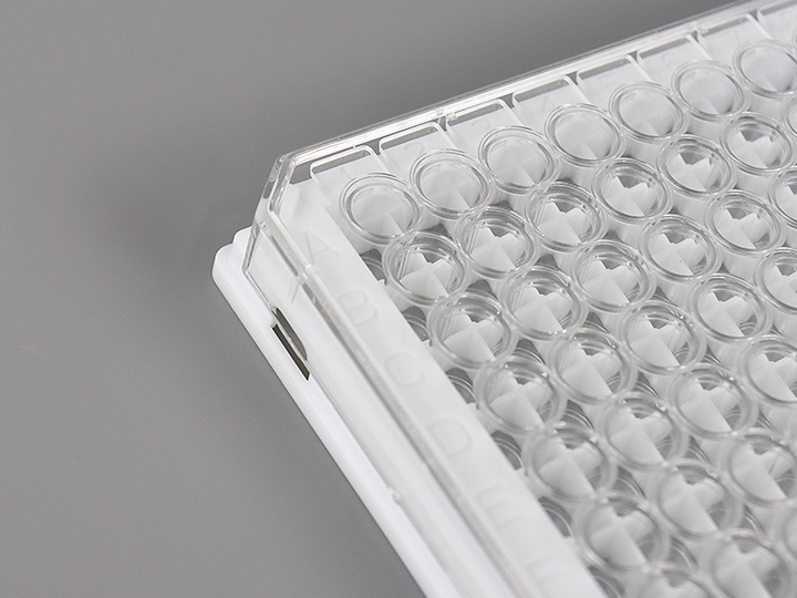 内页720×540 拷贝.jpg