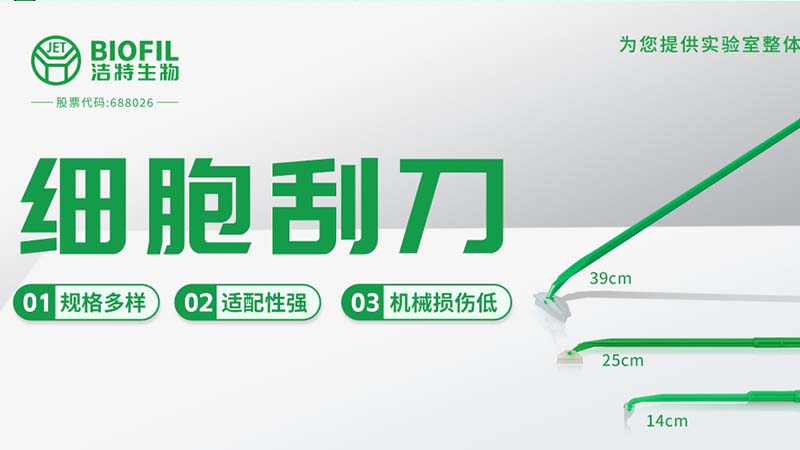 Bevictor韦德生物,细胞培养,生命科学,科研,生物实验室耗材